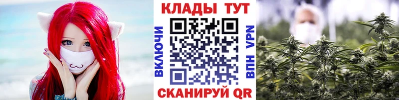 Купить закладку Альфа ПВП  Галлюциногенные грибы  ГАШ  МЕФ  Бошки Шишки  КОКАИН  Светлый